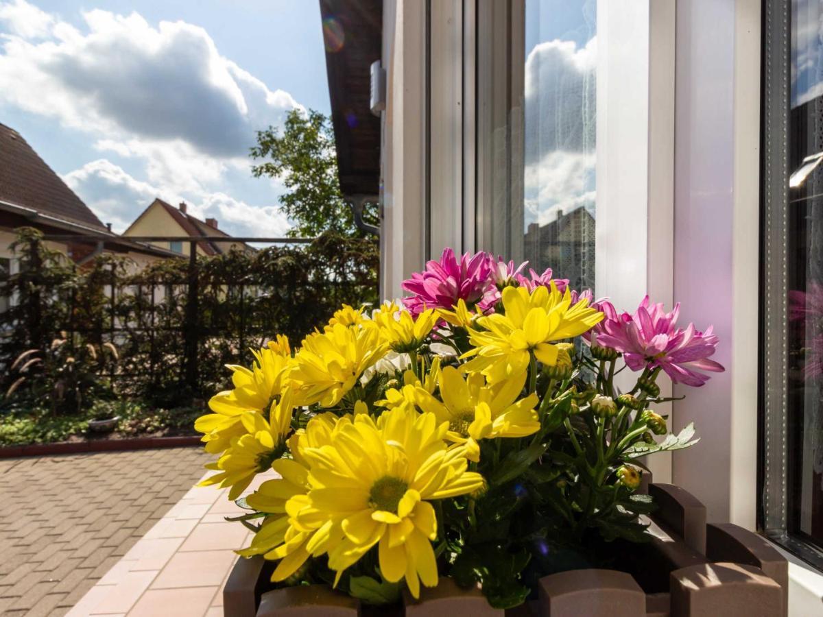 Ferienwohnung Schwarz Gademow Zewnętrze zdjęcie